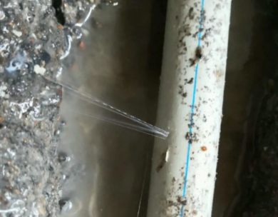 清水河测漏水哪家好