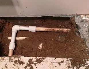 清水河测漏水哪家好