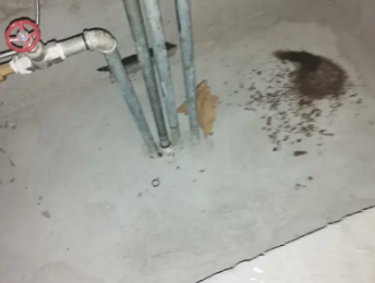 清水河卫生间测漏水价格明细