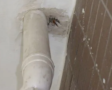 清水河漏水检测哪家好